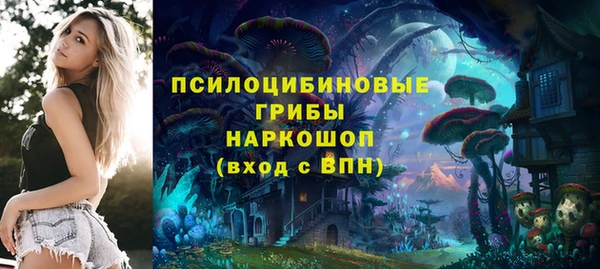 прущая мука Алзамай